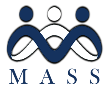 massconsultancysupportservices.co.in